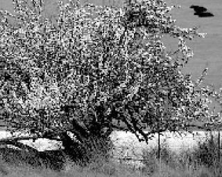 Community      Calendar