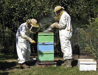 Lopez beekeepers Mary Hayton and Kevin Murphy prepare to check a hive.