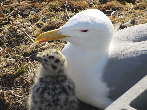 Choose from a dozen hour-long walks