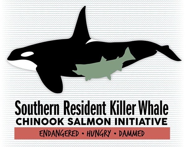 Logo for the Southern Resident Killer Whale Chinook Salmon Initiative