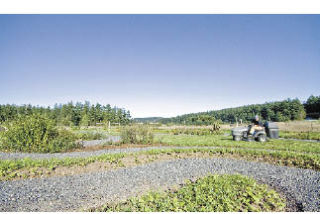 Nick Teague mows the lawn around the the Labyrinth.