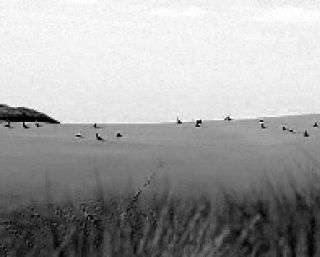 Community           Calendar