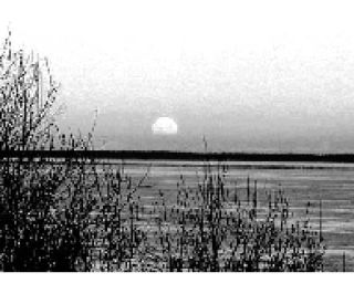 The blue moon (an event wherein there are two full moons within one month) took place this week.