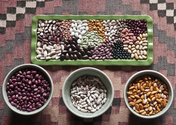 Gardner Carol Noyes spreads Jewel-toned beans on the table. Noyes grows a variety of beans despite challenges.