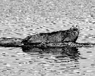 Community       Calendar