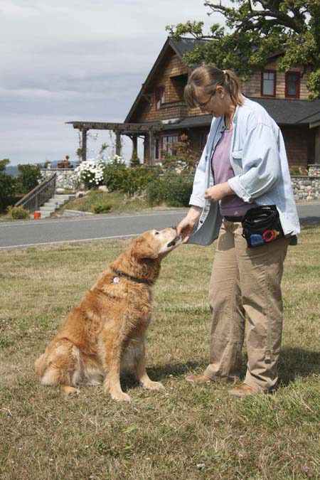 Michelle McDarmon demonstrates obedience with her golden retriever.