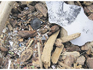 A selection of plastics found on an Orcas beach.