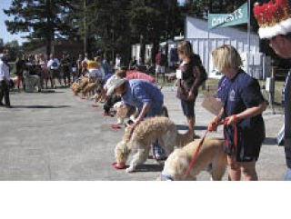 K-9 Carnival success!