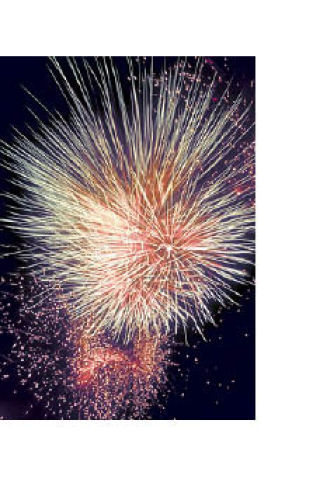 Lopez Community Fireworks Association