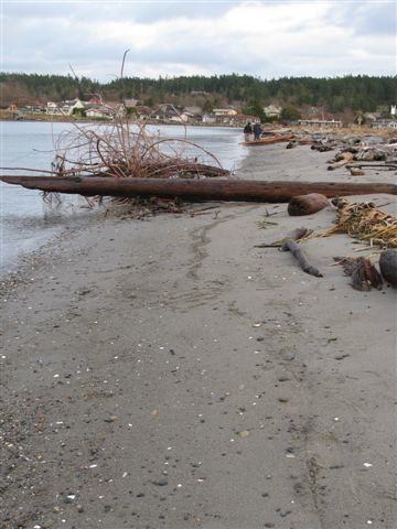 A helicopter will be lifting creosote logs from these two preserves to be sent to a hazardous waste landfill.