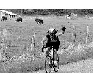 A cyclist in last year’s Tour de Lopez.