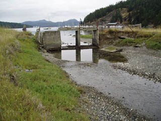 Salmon habitat restored