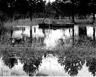 A local Lopez pond breaks its banks in recent rains.
