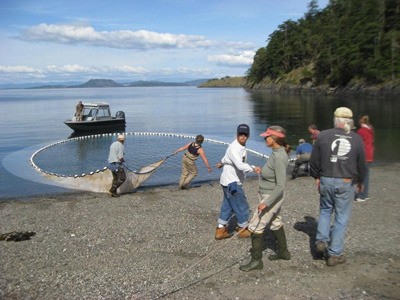 Kwiaht volunteers at Watmough Bight.