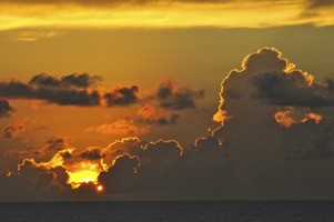 Lopez Center for Community and the Arts is seeking entrants for a photography show New Year’s Ev