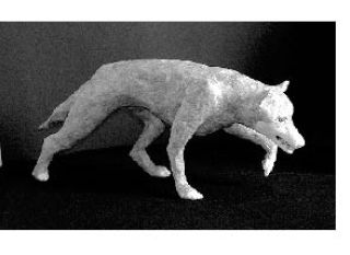 Clockwise  from left: Wolf