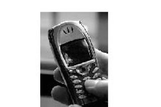 Is your cell phone hurting you?