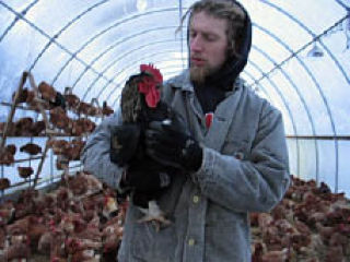 Blake and one of the roosters on the farm.