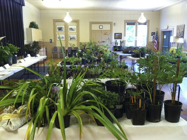 Plant Sale is happening on Thursday