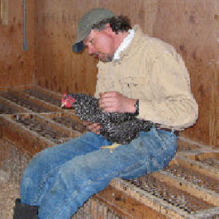 Todd Goldsmith and a favorite chicken.