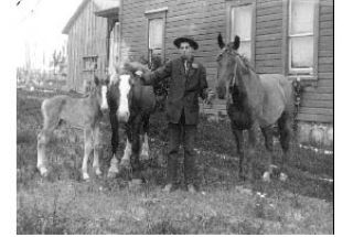 This photo of Geordie McCauley and his horses is one of the Washington Rural Heritage images of Lopez Island.