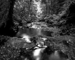 Cascade Falls in Moran State Park