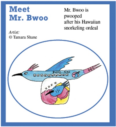 Mr. Bwoo