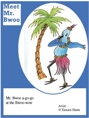 Mr. Bwoo
