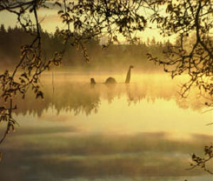 The elusive “Lugubriousa” sea creature in Hummel Lake