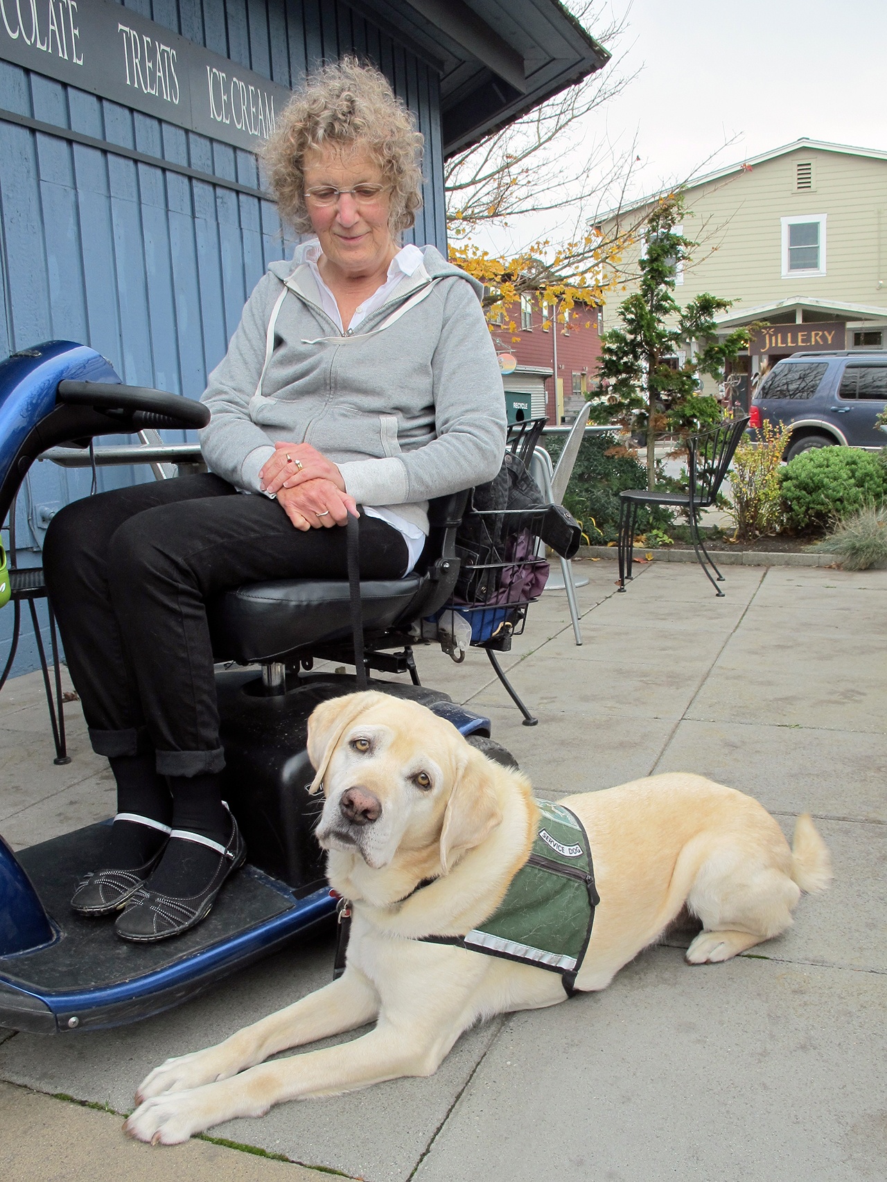 Dogs provide assistance to disabled islanders