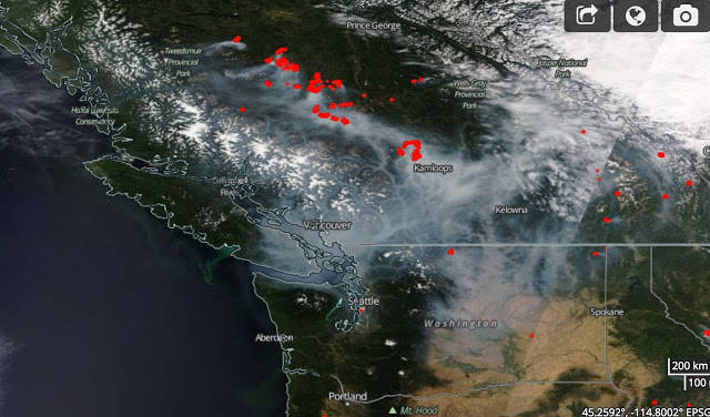 Contributed photo                                This satellite photograph depicts smoke from the BC fires streaming through the Fraser River gap toward the San Juans and Canadian Gulf Islands on Aug. 1.