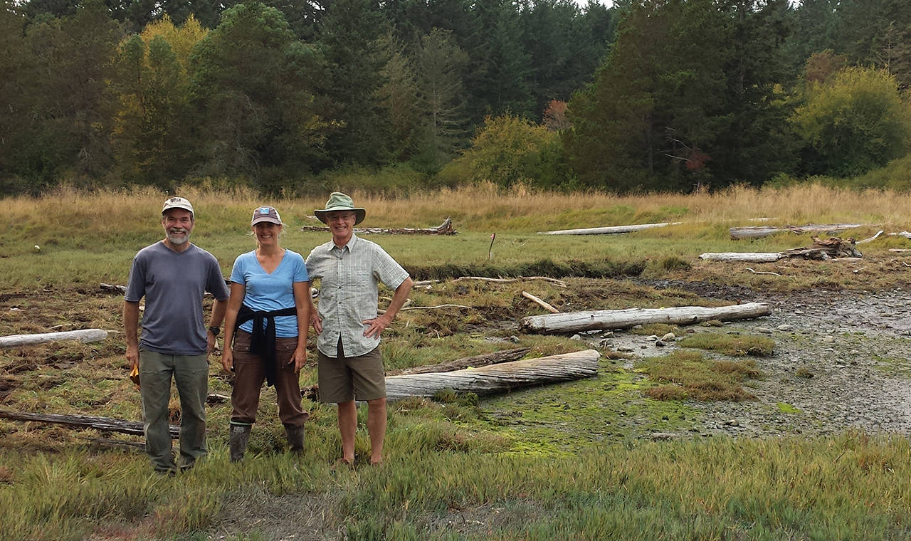 Partners restore Fisherman Bay coastal wetland