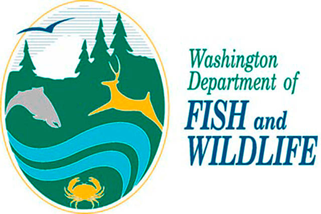 WDFW seeks volunteers for Puget Sound sportfishing advisory group