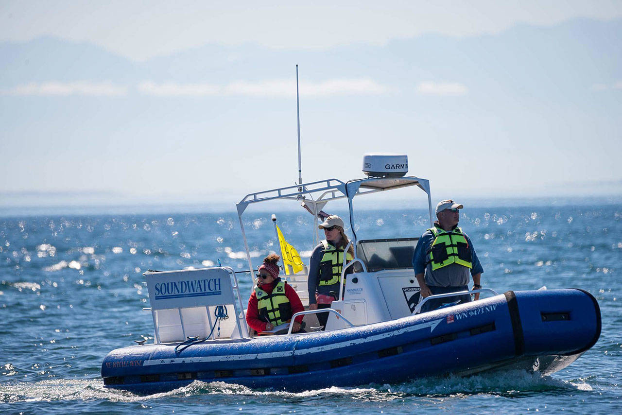 Contributed photo/ Jeanne Hyde, of Spirit of Orca, and The Whale Museum’s Soundwatch                                Staff from the Soundwatch Boater Education Program are on the water every day during the summer, educating recreational boaters on the least intrusive ways to watch whales in the wild and monitoring all vessel activity near the whales.