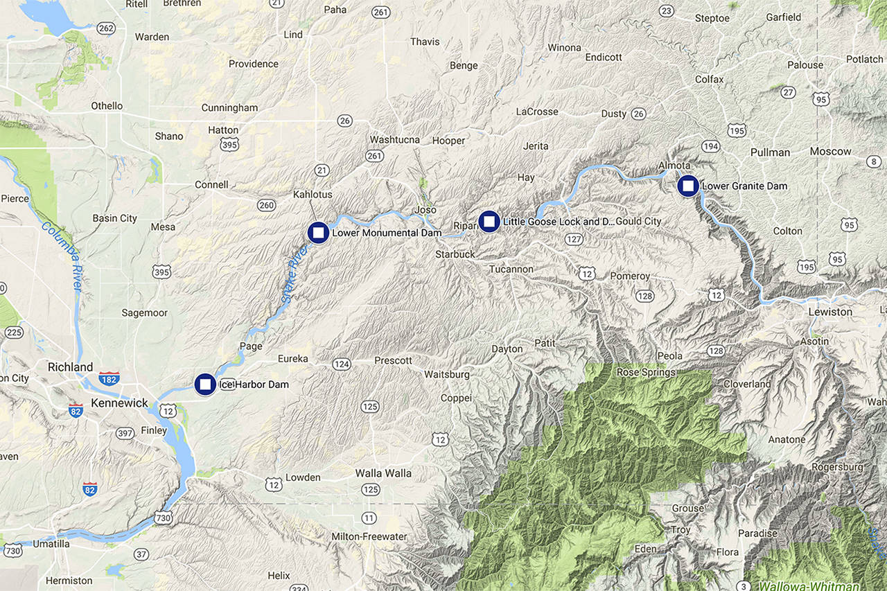 Groups petition for removal of lower Snake River dams