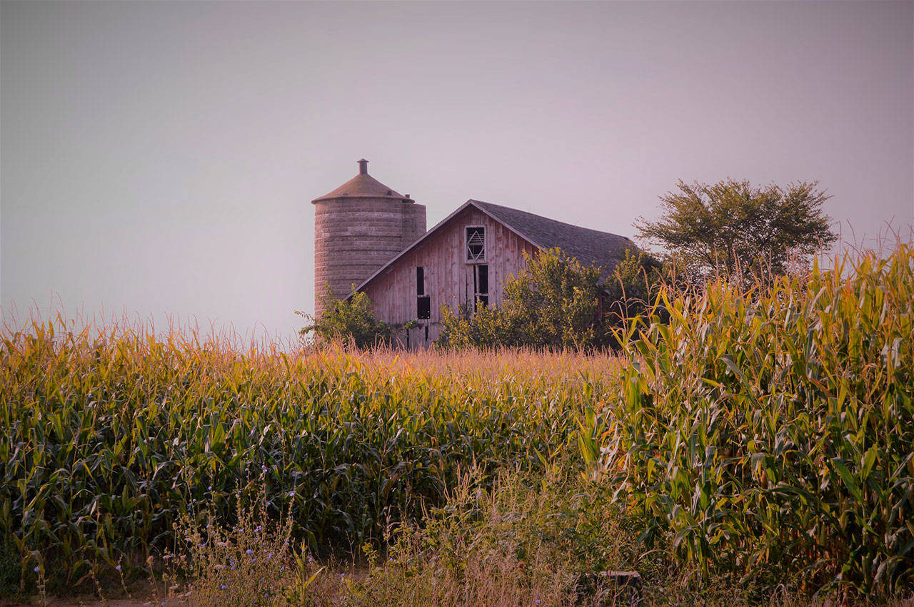 Local help for new San Juan County farmers, as retirees age out