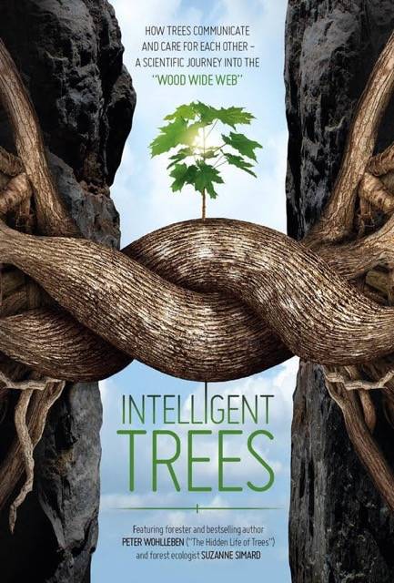 Do trees talk? Lopez Library shows ‘Intelligent Trees’