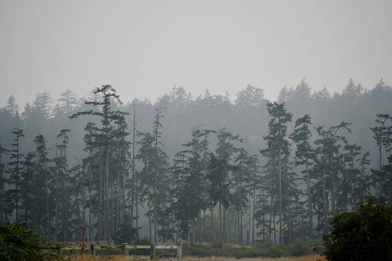 Staff photo/Tate Thomson                                A smoky haze covers San Juan Island.