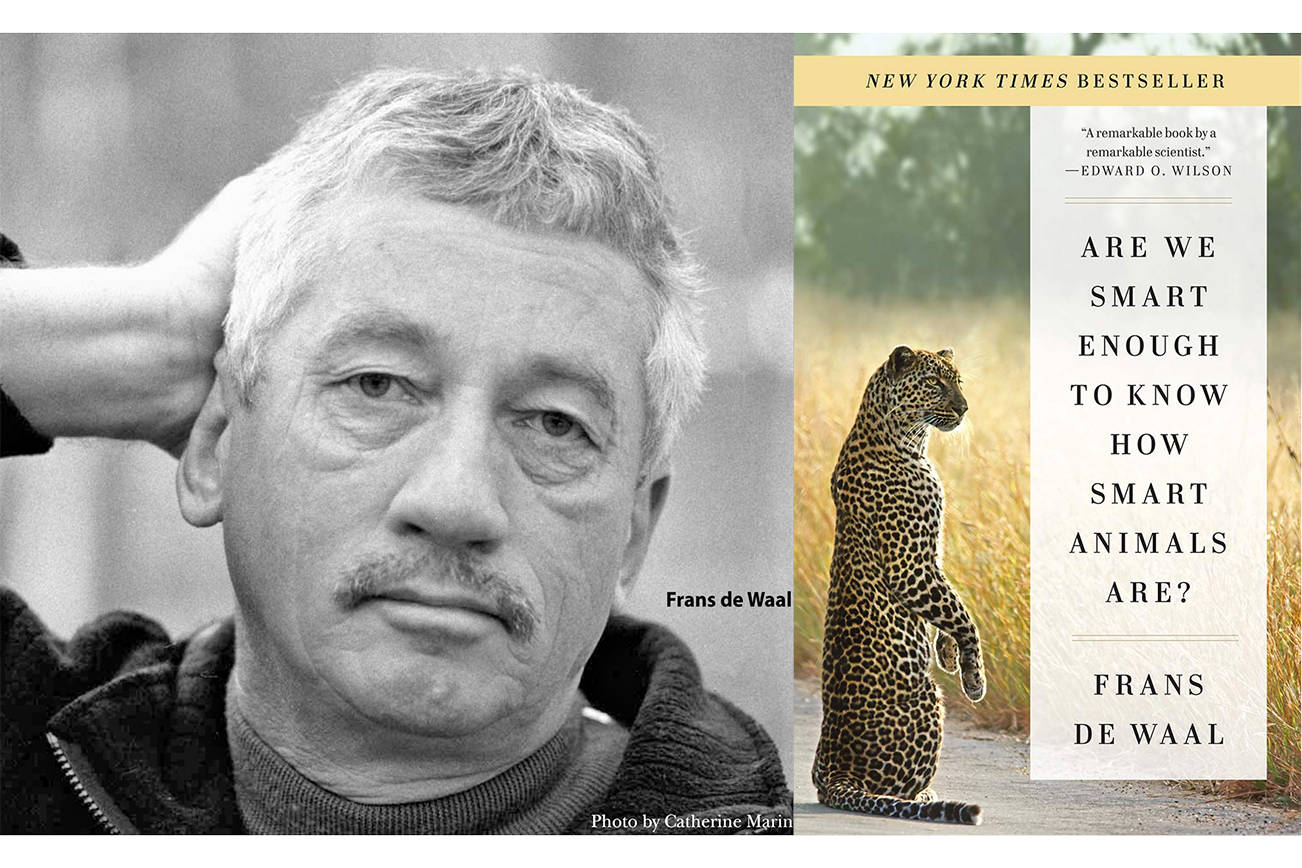 Renowned scientist Frans de Waal talks animal intellect