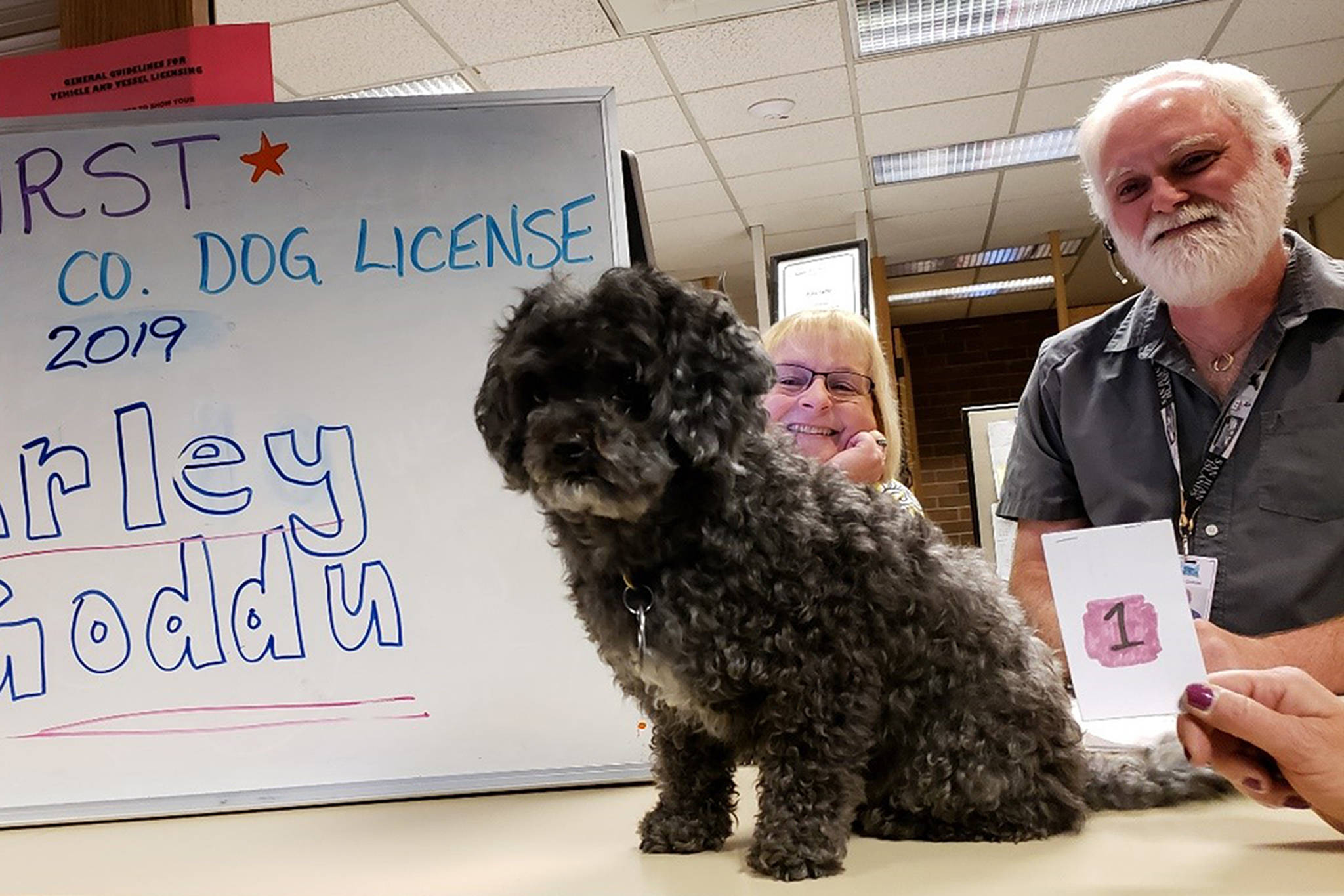 Time to renew your dog license