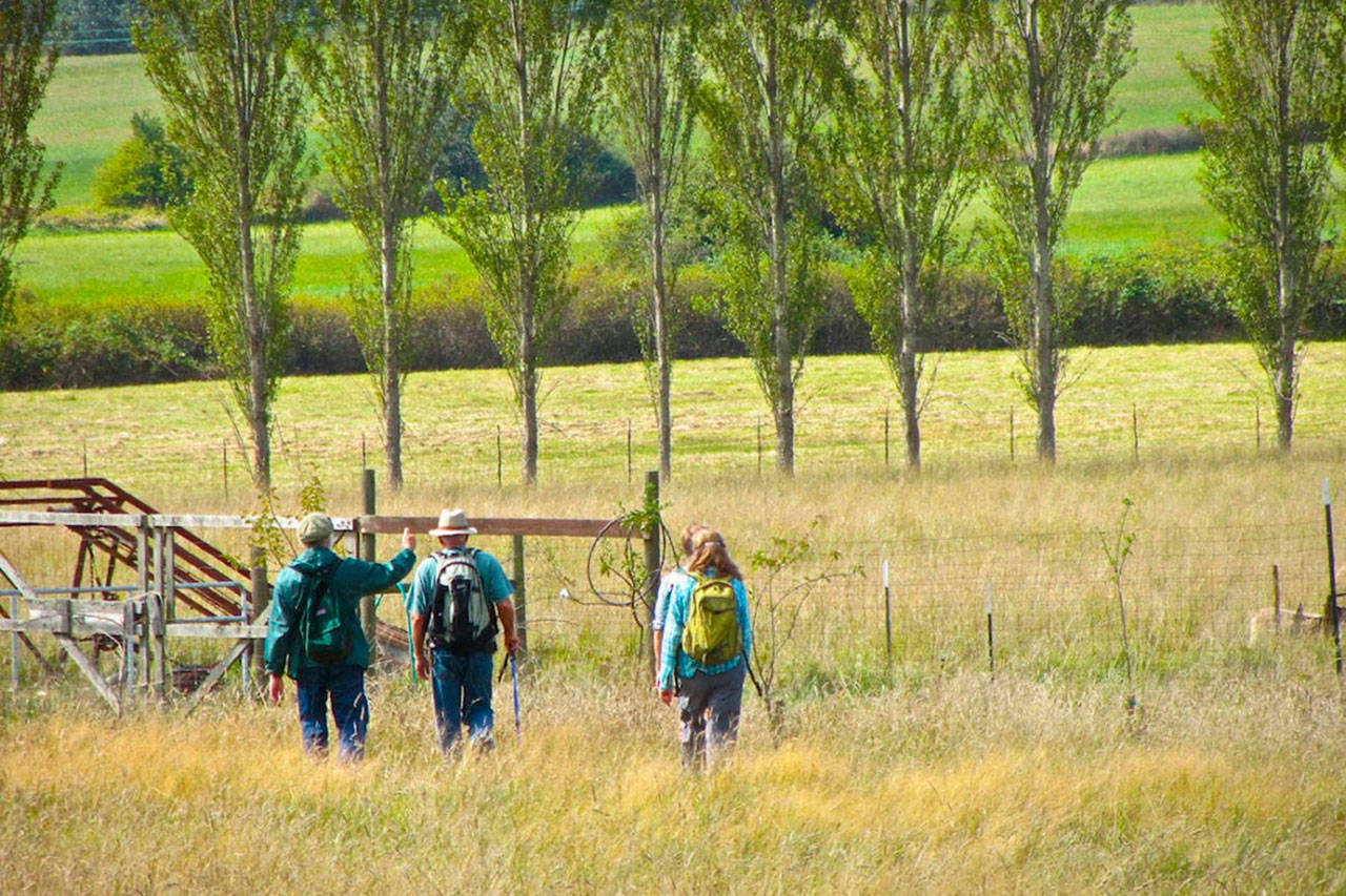 Contributed photo/Lopez Community Trail Network                                Hikers walk a trail on Lopez Island.