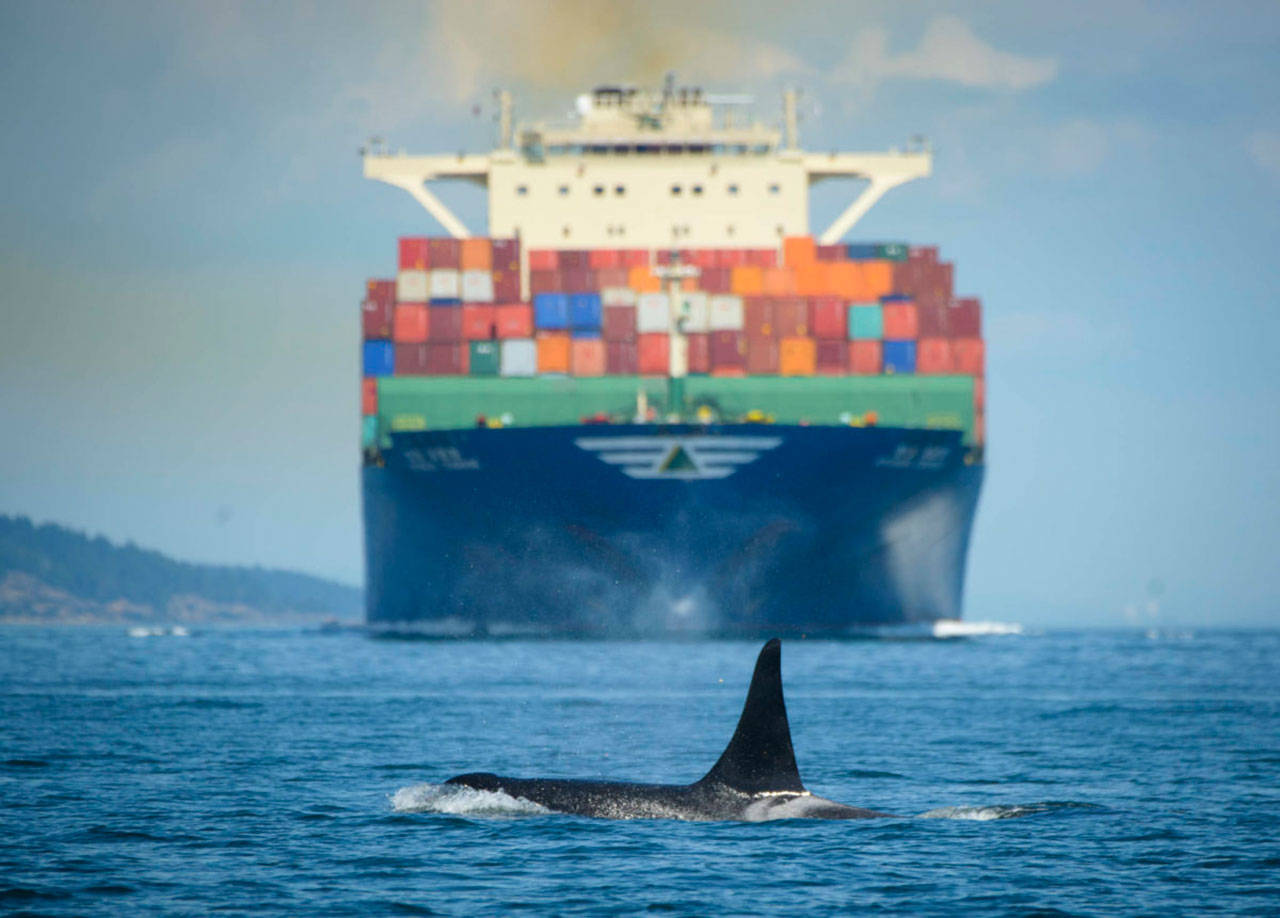 Vessel exhaust’s impact on Southern resident killer whales