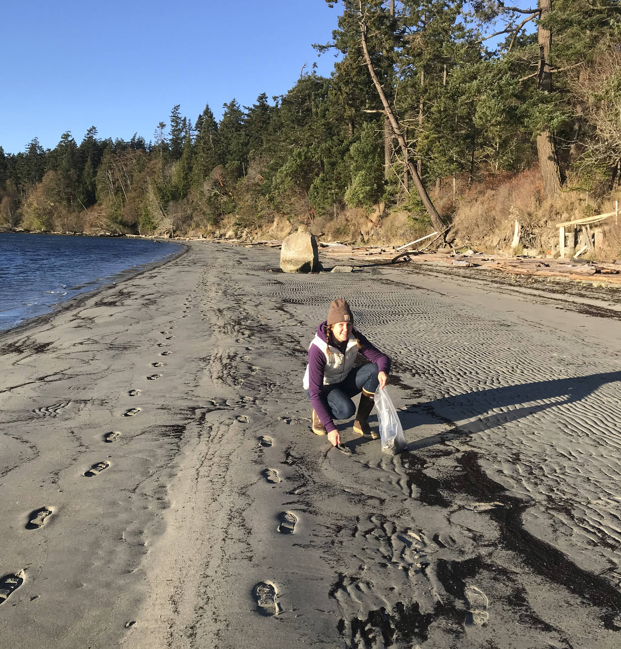 Contributed photo                                Jess Newley, Friends of the San Juans’ Marine Program Assistant, surveys for Pacific sand lance on Shaw Island.