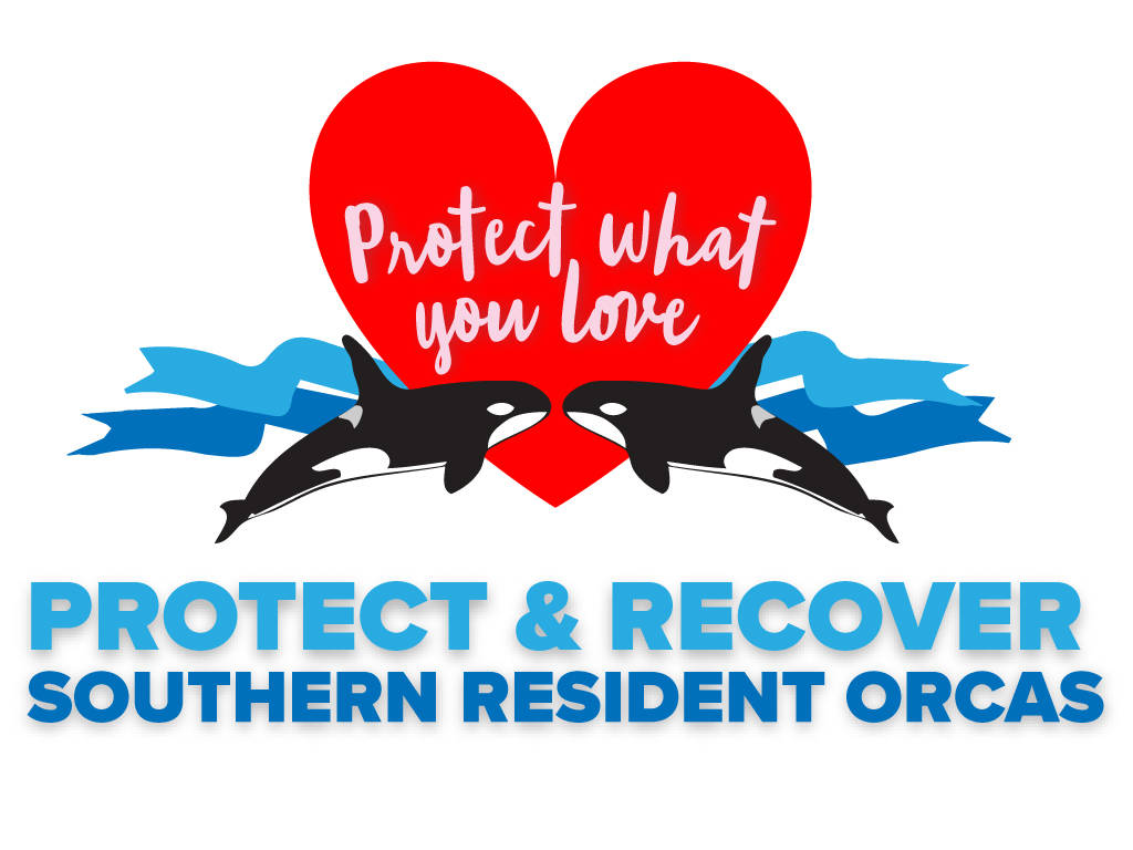 Protect What You Love: Southern Resident Orca Presentations and Discussions