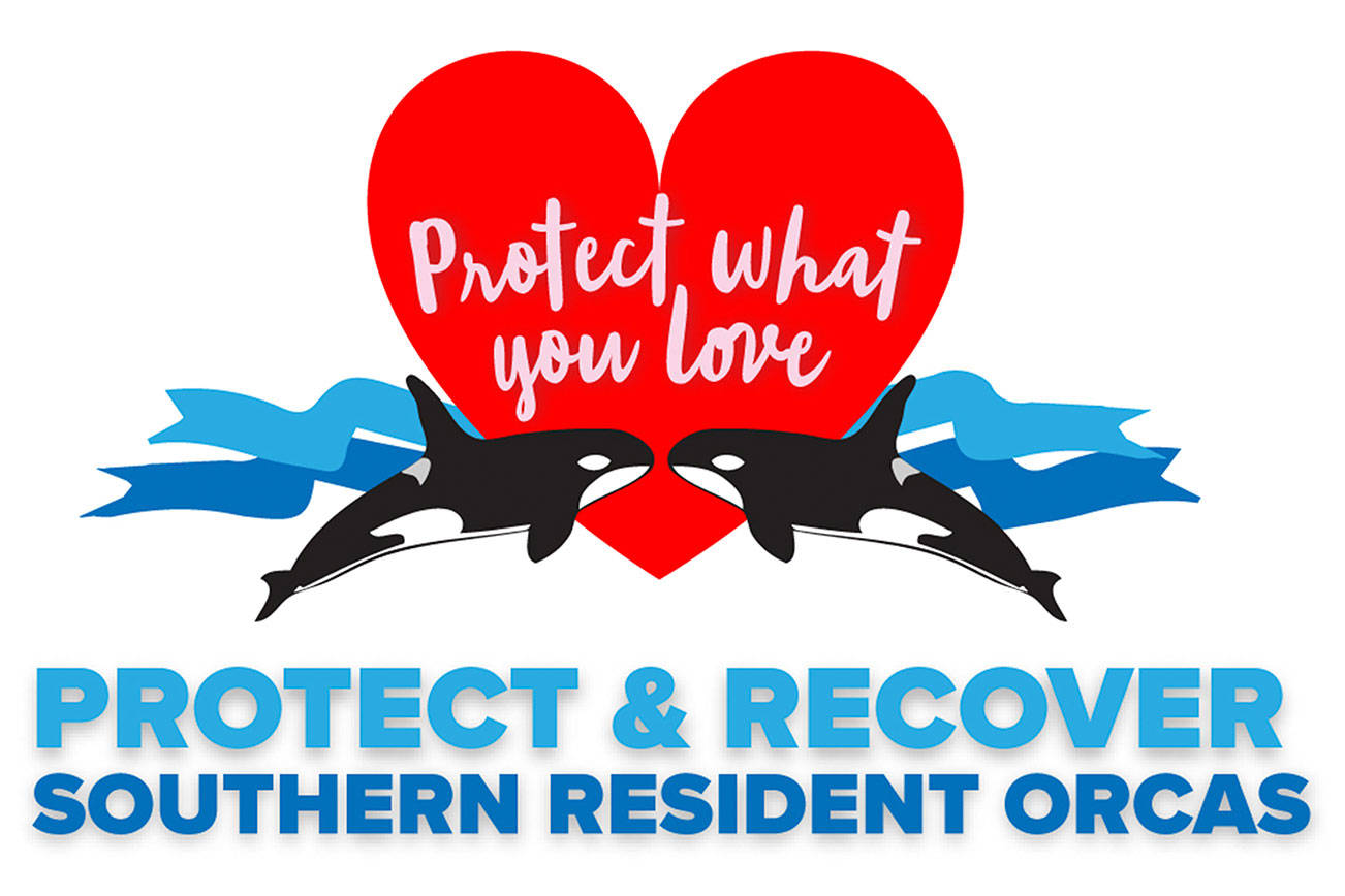 Protect What You Love: Southern Resident Orca Presentations and Community Discussions
