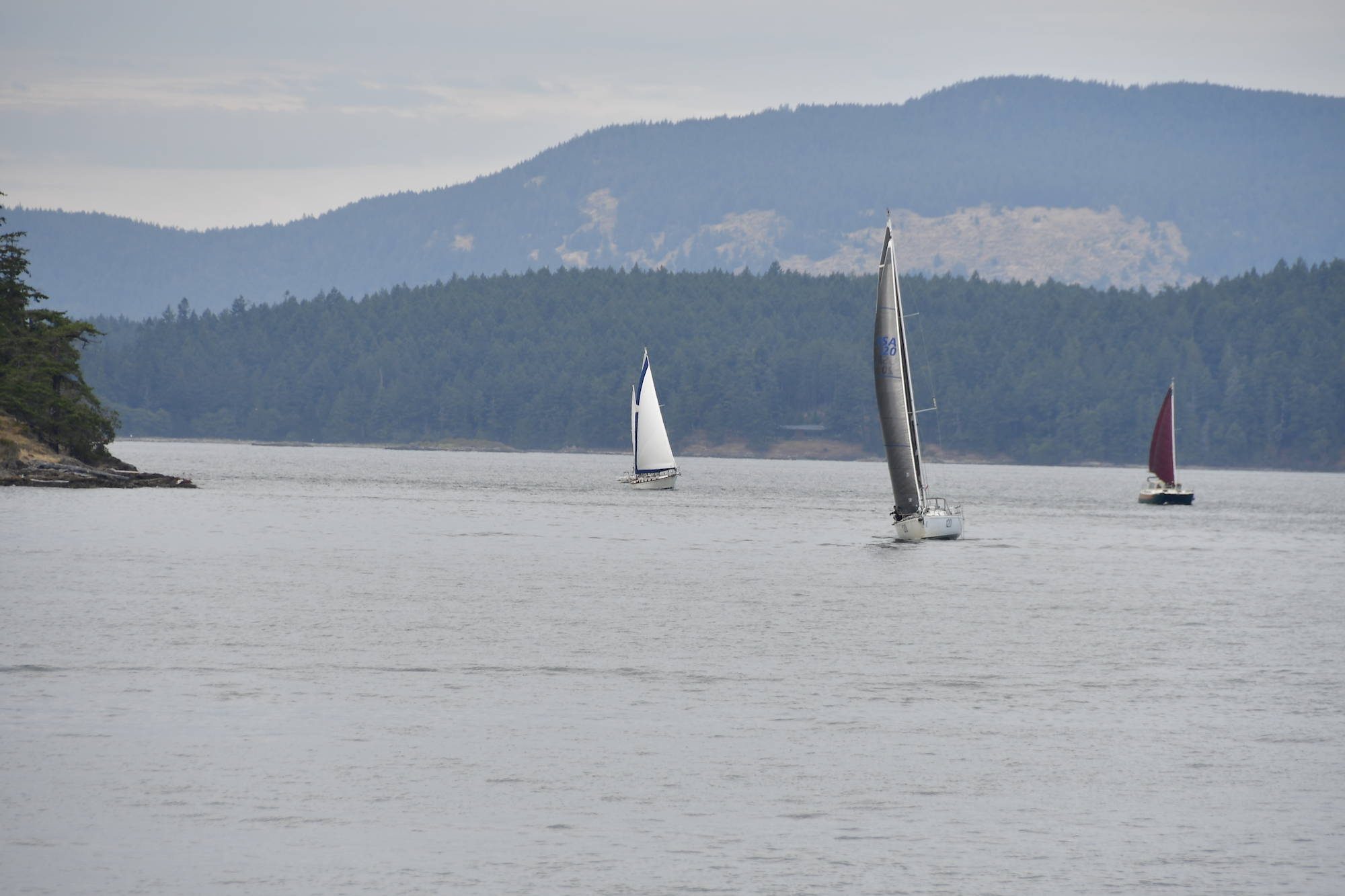 Contributed photo/San Juan Island Yacht Club. Shaw Classic racers