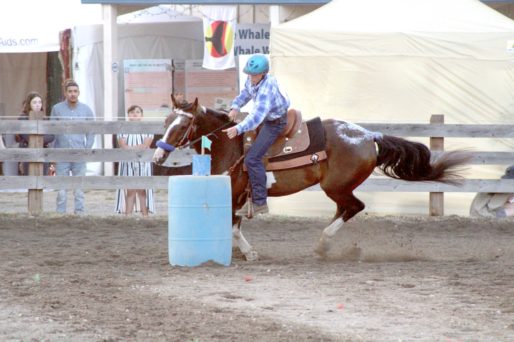 Josh Kramer wins two awards at the fair