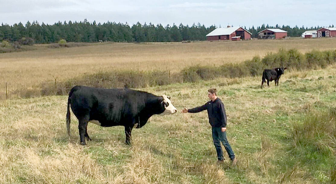 Local beef nourishes students and future farmers