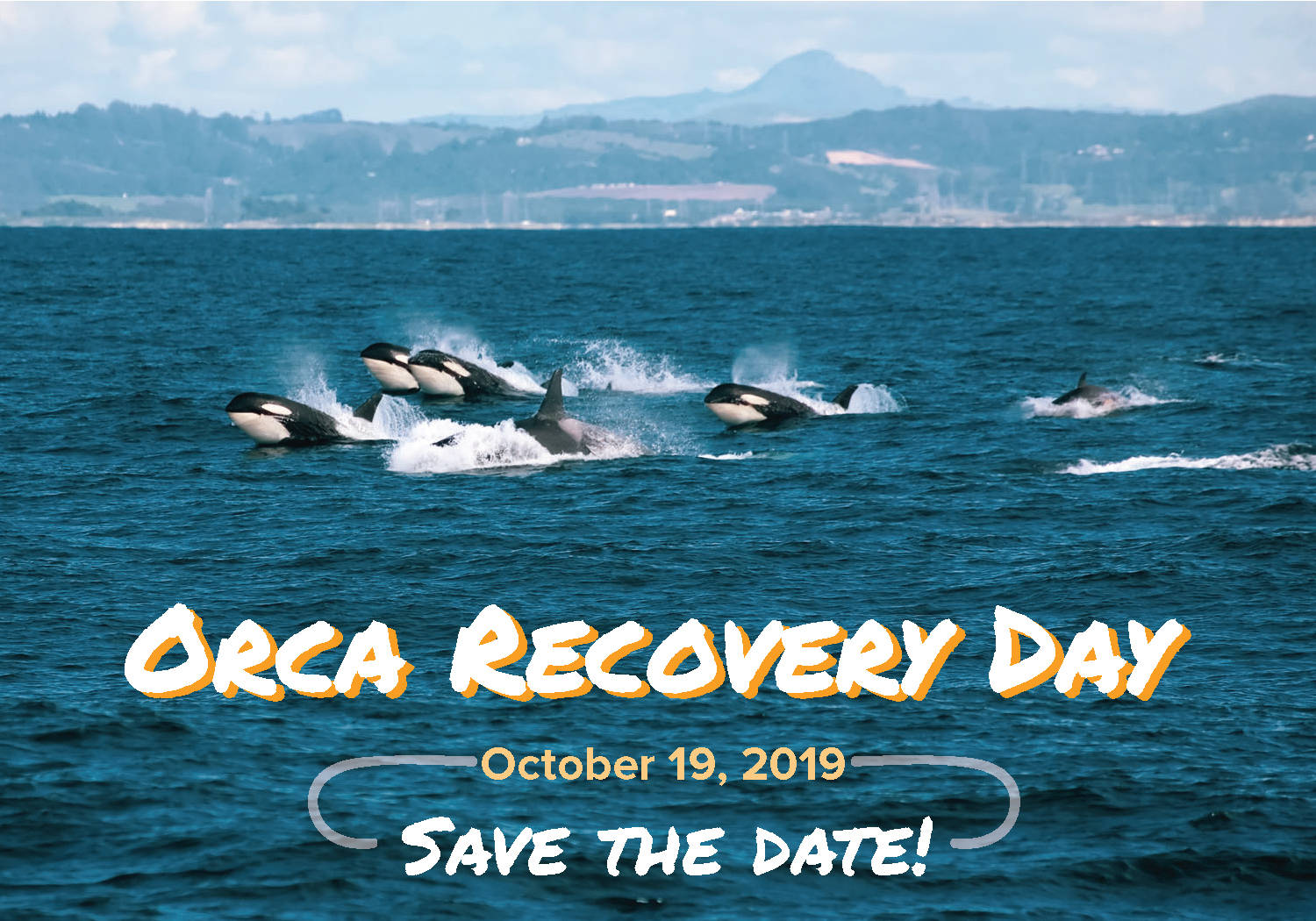 Conservation district to hold event in honor of orcas