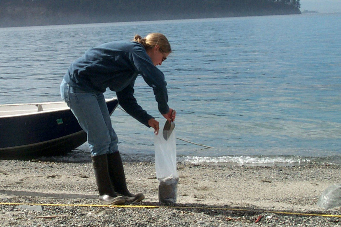 Citizen scientists needed for forage fish surveys
